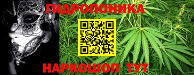 каннабис Донской