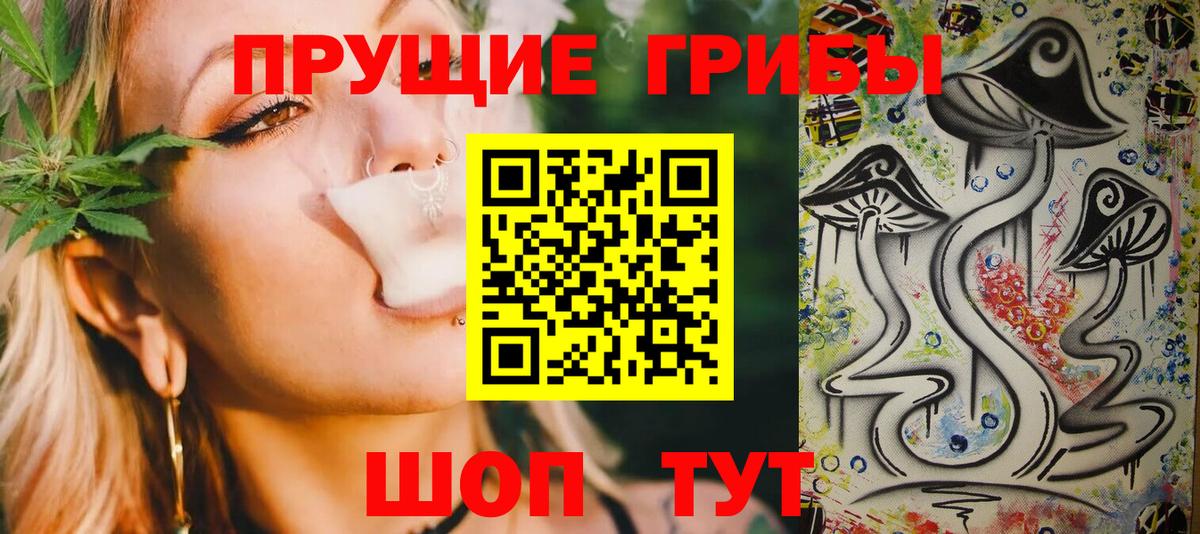 Галлюциногенные грибы Cubensis Ликино-Дулёво
